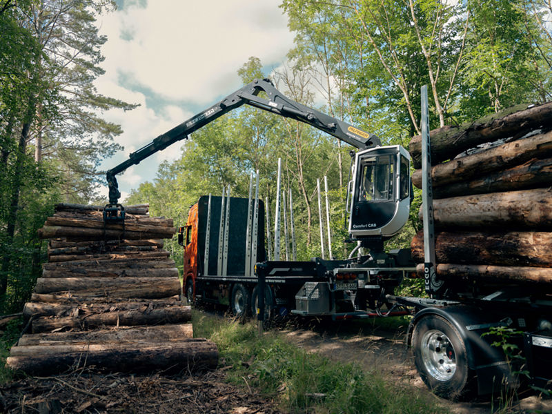 #reachanything story - living the dream